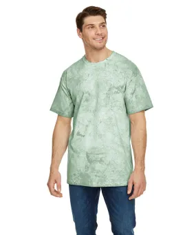 1745 - Comfort Colors Adult Heavyweight Color Blast T-Shirt | Fern