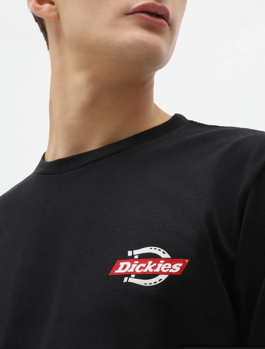 Dickies Ruston DK0A4XEHBLK men's long sleeve t-shirt black