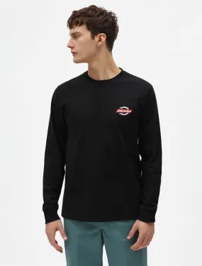 Dickies Ruston DK0A4XEHBLK men's long sleeve t-shirt black